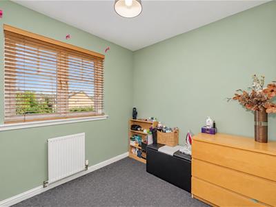 Picture 28